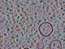 key visualization for sample_303