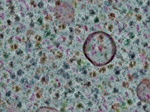 key visualization for sample_304