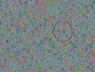 key visualization for sample_304