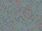 key visualization for sample_304