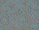 key visualization for sample_305
