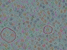 key visualization for sample_305