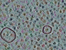 key visualization for sample_305