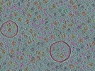 key visualization for sample_306