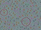 key visualization for sample_306