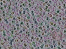 key visualization for sample_307