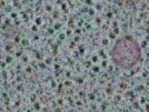 key visualization for sample_308