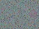 key visualization for sample_308