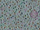 key visualization for sample_308