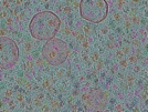 key visualization for sample_309