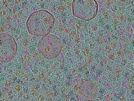 key visualization for sample_309