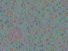 key visualization for sample_310