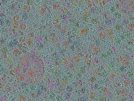 key visualization for sample_310