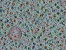 key visualization for sample_310