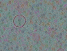 key visualization for sample_311
