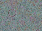 key visualization for sample_311