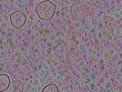 key visualization for sample_312