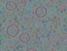 key visualization for sample_313