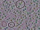 key visualization for sample_314