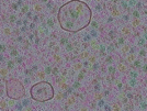 key visualization for sample_314