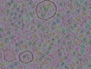 key visualization for sample_314