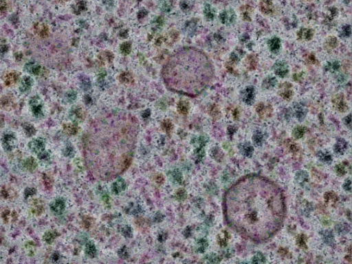 key visualization for sample_315
