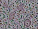 key visualization for sample_315