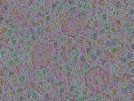 key visualization for sample_315