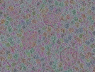 key visualization for sample_315