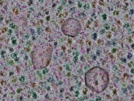 key visualization for sample_315