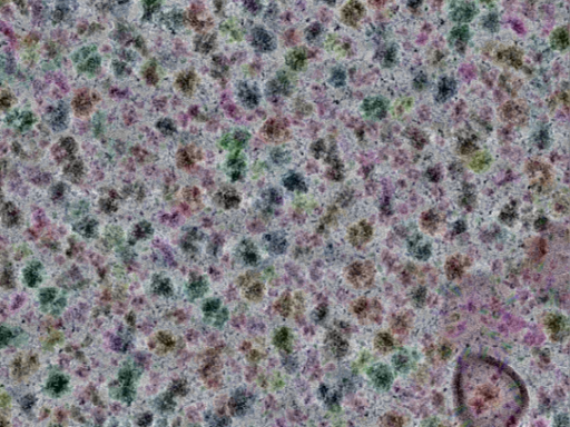 key visualization for sample_316
