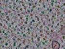 key visualization for sample_316