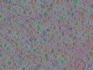 key visualization for sample_316