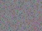 key visualization for sample_316
