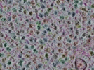 key visualization for sample_316