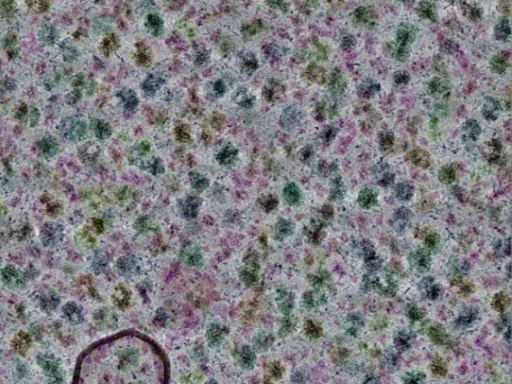 key visualization for sample_317