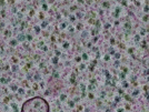 key visualization for sample_317