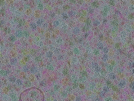 key visualization for sample_317