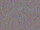 key visualization for sample_319