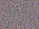 key visualization for sample_319