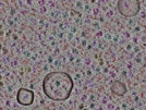 key visualization for sample_319