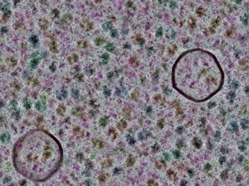 key visualization for sample_320