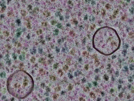 key visualization for sample_320