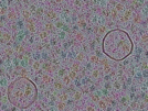 key visualization for sample_320