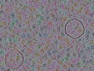 key visualization for sample_320