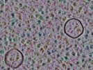 key visualization for sample_320