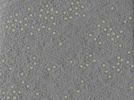 key visualization for 25oct20a_Position_100_2