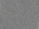 key visualization for 25oct20a_Position_100_3