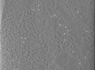 key visualization for 25oct20a_Position_101_2