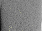 key visualization for 25oct20a_Position_102